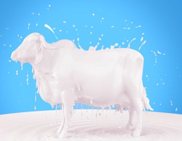 puregircowmilk